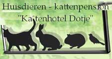 Hotel voor katten en andere dieren in oudewater